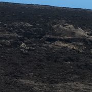 地球とペレの呼吸を感じます