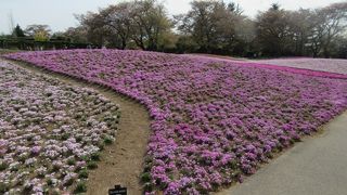 英国国教会が正式に認めた、ステンドグラスの美しい教会を擁する庭園