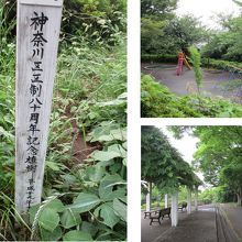 遊具もあります