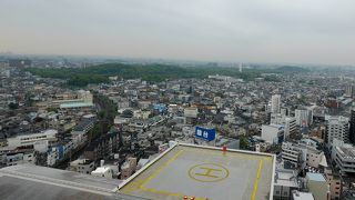 無料だし，景色がよく見える．大仙陵もアベノハルカスも