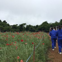 地元の生徒さんが記念撮影をしてくれるボランティアをしています