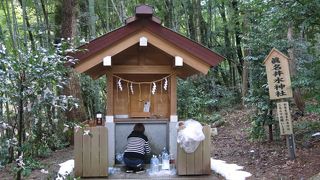 水がわきでる。