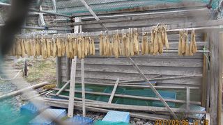 風が強いので要注意