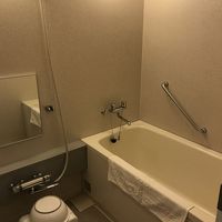 独立したバス。湯の出も良かったです