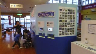 海遊館の手前。