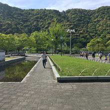 水も多い公園