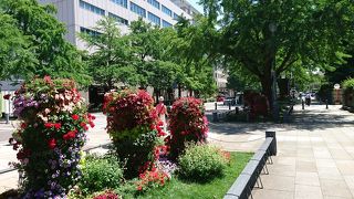 元々は防火のための道 緑化フェア開催中でした