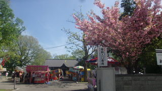 春の例祭、出店で賑わっていました