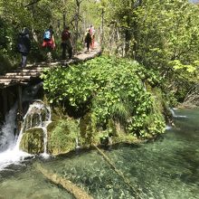 遊歩道の幅はこんな感じなので、混むと即、渋滞かも。