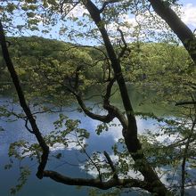 雲が出ても、水面に映り込む美しさ。
