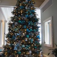 X'masシーズンだったので飾り付けも素敵でした