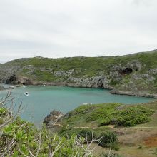 鮫池。ネムリ鮫が産卵に来ます。沢山いました。