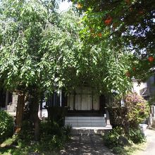 本堂前
