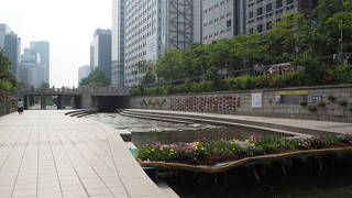 散歩するのが好き