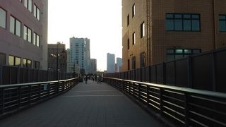 開港の道　･　山下臨港線プロムナード　