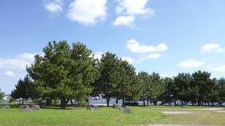 文字通りに広いです。