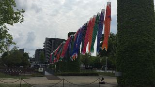 一日楽しめました