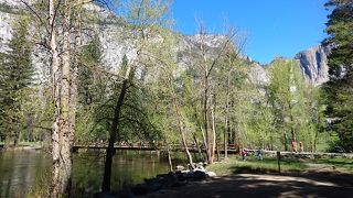 スウィンギング ブリッジ