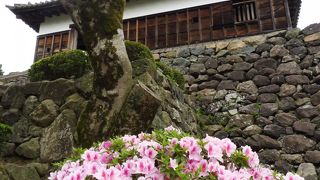 現存する日本の最古の天守閣