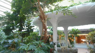 羽田空港、第一ターミナル