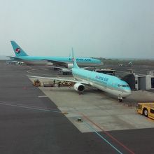 やはり大韓航空が一番多いです。