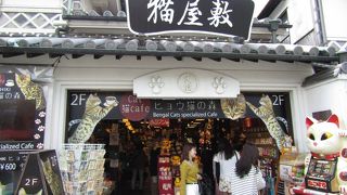 現在は猫屋敷です