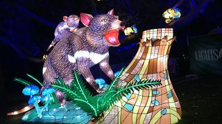 Vivid Sydney 2017 タロンガ動物園ライトアップ