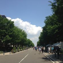 横浜スタジアム前から、山下公園へ