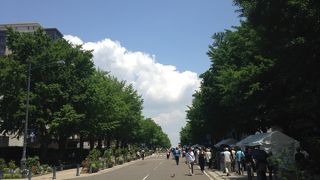 海に向かう幅の広い通り