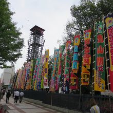 場所入りする力士をまじかに見ることができます。