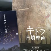 【東壁 青龍・十二支 寅】期間限定で展示されてます