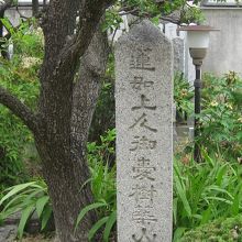 教行寺境内築山紅梅石碑