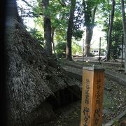 代々木八幡神社の境内にあります