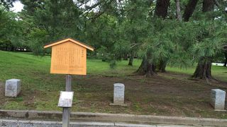 小高い丘になっている場所