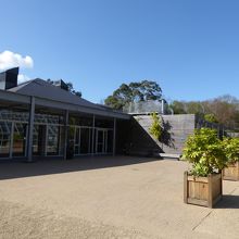 温室庭園側から見たアボカ