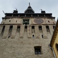 近くで見上げる