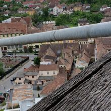 シドニーはあちら