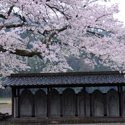 桜が綺麗な寺院跡
