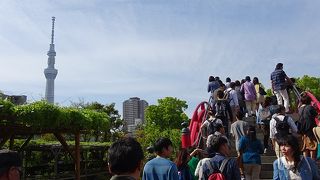 藤まつりの時期がおすすめです