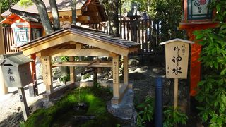 私にはちょっと遅いけど…。