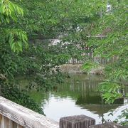 富田公民館横の小さな池