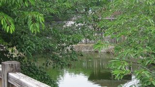 富田公民館横の小さな池