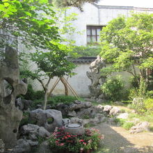 中庭には太湖石。