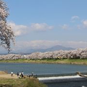 無料のコーヒー、お茶のサービスがありました