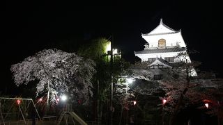 白石城桜まつり