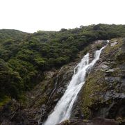 屋久島南西部の大きな滝