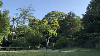 ピクニック♪と花火♪