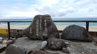 日本を代表するウミガメの聖地