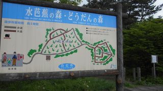 時期が中途半端だったのもありますが・・