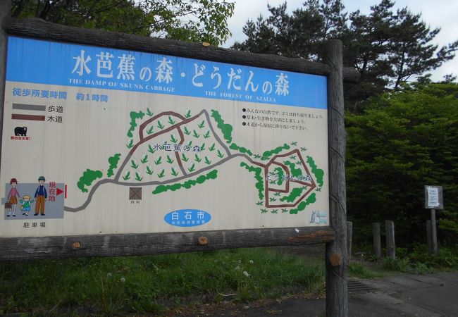 水芭蕉の森 クチコミ アクセス 営業時間 白石 フォートラベル 水芭蕉の森 クチコミ アクセス 営業時間 白石 フォートラベル
